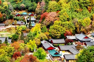 双磎寺쌍계사