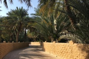 阿莱茵绿洲Al Ain Oasis