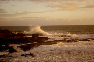 卡特林斯海岸路Catlins Coastal Heritage Trail