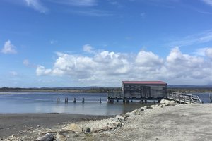 奥卡里托泻湖Ōkārito Lagoon