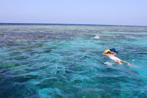 红海度假村Red Sea Resort