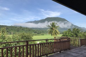 清道山Doi Chiang Dao