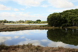 赫瑞森岛Heirisson Island