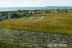 螃蟹农场酒庄Crab Farm Winery