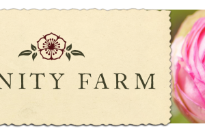三一农场Trinity Farm