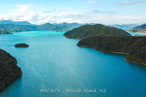 皮克顿港口观景台Picton Harbour Lookout