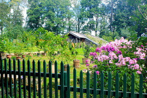 托尔斯泰庄园Yasnaya Polyana