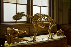 泰勒博物馆Teylers' Museum