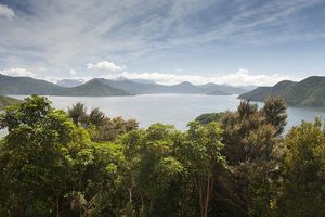 开普普角峡湾野生动植物保护区Kaipupu Point Sound