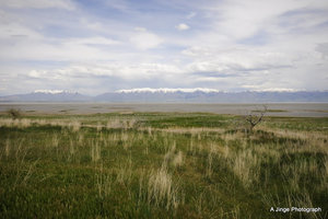 羚羊岛州立公园Antelope Island State Park