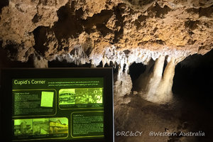 吉尔吉溶洞Ngilgi Cave