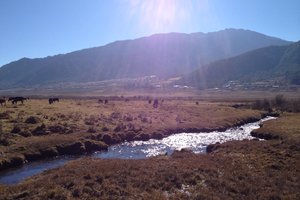 颇布季卡山谷Phobjikha Valley