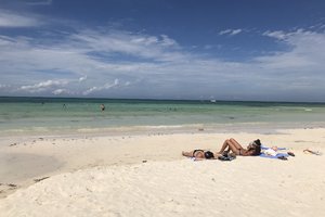 伯伍德公共海滩Burwood Public Beach