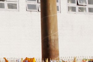阿育王柱Ashokan Pillar