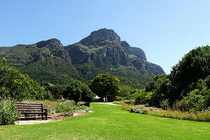 康斯坦博西国家植物园Kirstenbosch National Botanical