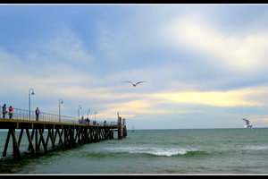 格雷尔海滩Glenelg Beach