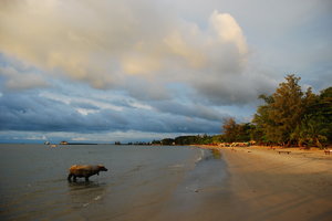 胜利海滩Victory Beach