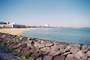 圣基尔达海滩St Kilda Beach