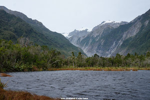 Peter's Pool