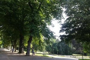 Pepiniere公园Parc de la Pepiniere