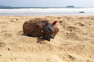大理石海滩Marble Beach