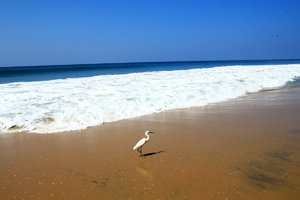 瓦卡拉沙滩Varkala Beach