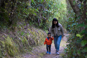 Cullen瞭望点步道Cullen Point Lookout Track