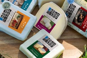 蓝河乳业——全球最大羊奶加工厂Blue River Dairy