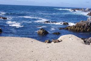 蒙特雷湾Monterey Bay