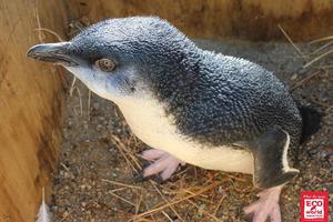环保世界水族馆EcoWorld Aquarium