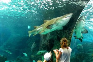 海底世界水族馆Underwater World