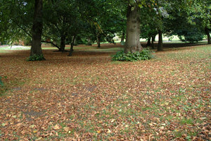 布特公园Bute Park
