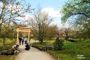日本花园Japanse Tuin
