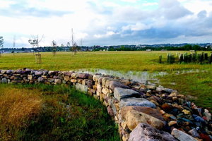 沃特福德自然公园Waterford Nature Park