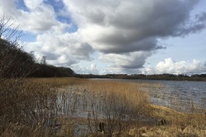 北西兰岛狩猎园林The par force hunting landscape in No