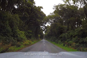 Waiatoto 河流探险Waiatoto River Safari