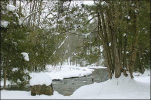Hoggs Water Falls