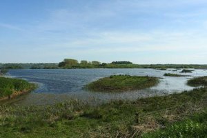 拉特兰湖Rutland Water Nature Reserve