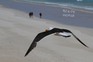 科芬湾国家保护区Coffin Bay National Park