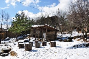民间遗产博物馆Folk Heritage Museum