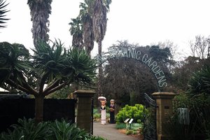 吉朗植物园Geelong Botanical Gardens