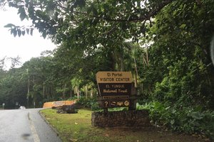 厄尔尼诺云雀国家森林公园El Yunque National Forest