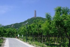 东公园
