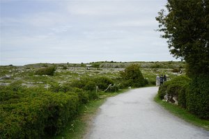 巴伦国家公园Burren National Park