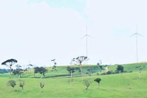 新西兰农场住宿Farmstay