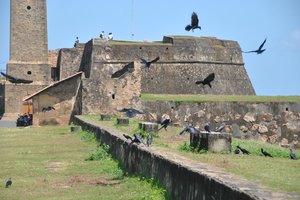 加勒城堡Galle Fort
