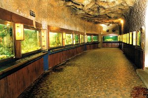 水族馆Aquarium Musée d'Arcachon