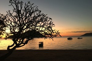 马拉维湖LAKE MALAWI