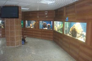 亚喀巴考古博物馆Aqaba Archaeological Museum