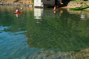 Lochmara Lodge艺术中心Lochmara Lodge Wildlife Recovery &a